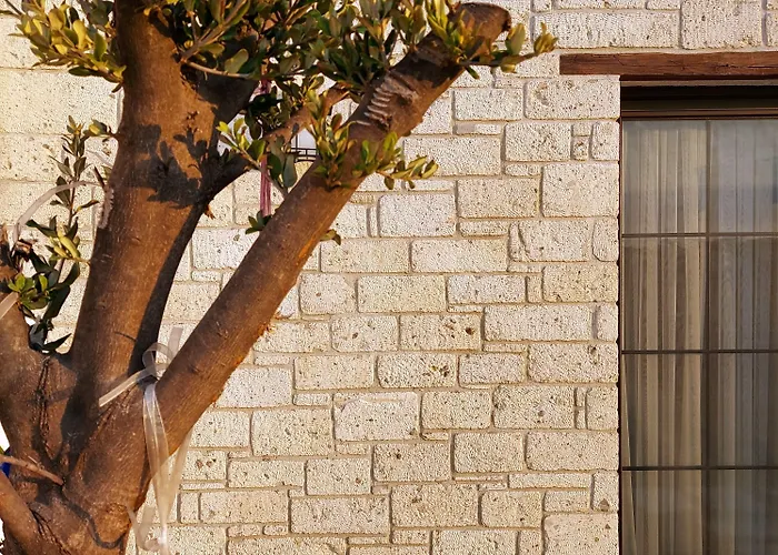 Hotell Vahide Dalyan *