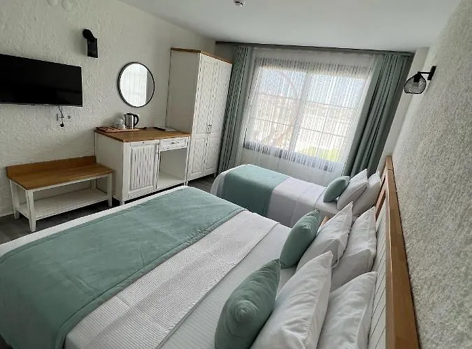 Vahide Dalyan * Чешме